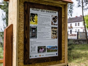 Hotel dla pszczół samotnic w Zespole Szkół Ponadpodstawowych w Przedborzu., 